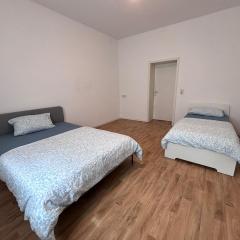 AriProp city center Apartment 8 guests