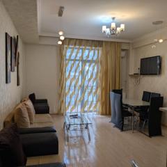 Central Landing Apartment