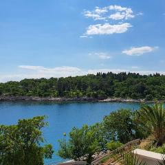 Stunning Apartment In Dramalj With House Sea View