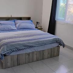 BELLA Melody's Paradise