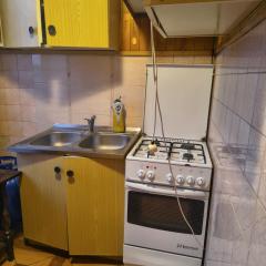 Pleasant apartament im center low price