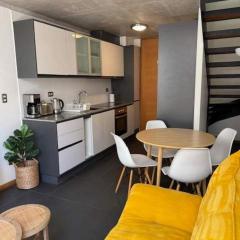 HOM I Loft en mejor zona de Valparaiso 2PAX