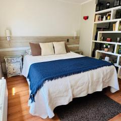 Apartamento Amoblado , en el corazón de Providencia, incluye estacionamiento