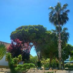 Lago Jardin , CHILL CASA