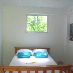 Mango Tree Island 420