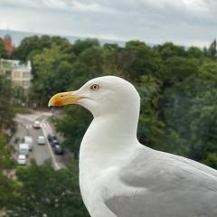 Mieszkanie - 8 PIĘTRO Z WIDOKIEM NA MORZE