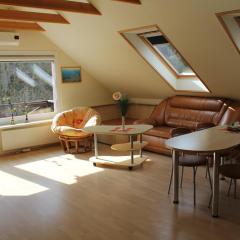 Cozy apartment with balcony