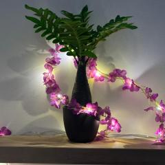 SB Legacy Fireflies Swarm