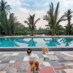 Ninh Binh Peaceful Retreat
