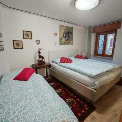 Maemorare - Caratteristico Bilocale in Casetta Indipendente