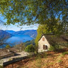 Haus unter der Buche