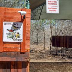 Sunbirds at Kruger