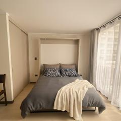 Santiago Centro I La Moneda I Paseo Ahumada