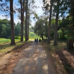 Cabana Rota do Vinho