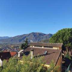 Fiori e Frutti Sunshine Home