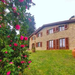Villa Camelia Tuscany