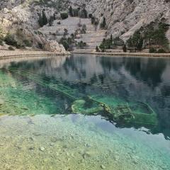 Stinica apartma Paradise