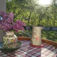 Orma, pet friendly retreat studio