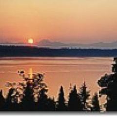 Olympic View Cottage