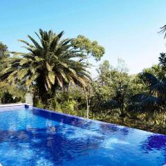 Palm Beach Tranquility