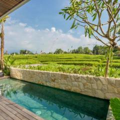 Lorena Rice field View 3 BR Private Pool Villa ZN346