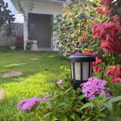 Cozy Apartment 8 minutes from Downtown David - Private Entrance Garden