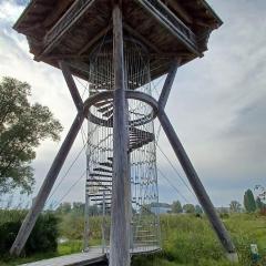 Ferienunterkünfte Schüle