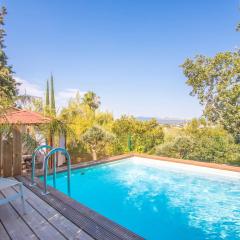 Palmiers en couleurs