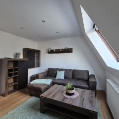 Mikra Homes24 in Zwickau