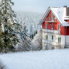 Ferienwohnung Tannenblick 2-2 3-4