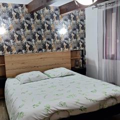 Vacances Et Weekends A Ceret