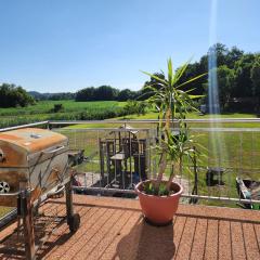 Beim Mooswiesler Dahoam