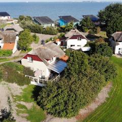 Duinvilla Deluxe met Sauna en Whirpool - 6 personen
