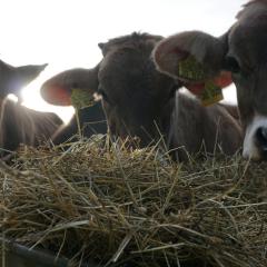 Ferienwohnung Heuboden