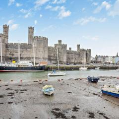 1 Bed in Caernarfon 93802
