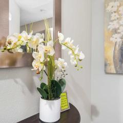 Windsor Cottage - Fall Creek Beauty by Table Rock