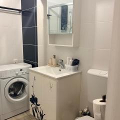 Cozy Apartment 150 m from Târgu Mureș Hospital