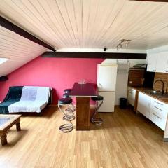 Apartment 2 rooms in the heart of Nantes