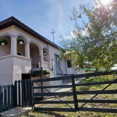 Casa bunicilor- liniștea prispei, răcoarea beciului și aerul poianei