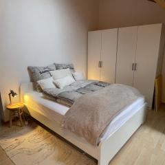 Gemütliches Atelier-Apartment 42qm, Küche und Bad