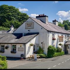 The Black Lion