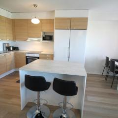 Spacious Apartment for 4