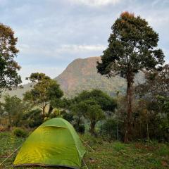 Tent Stay Paithalvillage