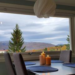 Panoramic northern lights on top of Tromsø island