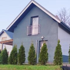 Pine Peak Holiday House Sosnówka