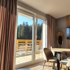 Black Hill Pod Zieleńcem Apartament GOLD Nr3