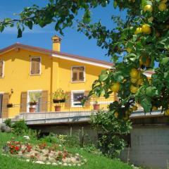 Secondo Monolocale Ovest