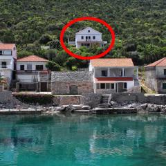 Apartment Zarace - Gdinj 4597e