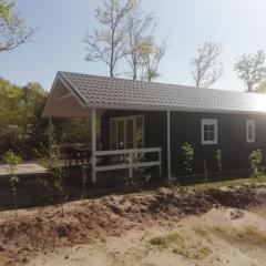 Comfortable forest lodge with open space