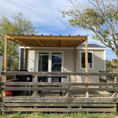 Mobil-home avec Terrasse au Camping Mas Llinas - API-1-52-373